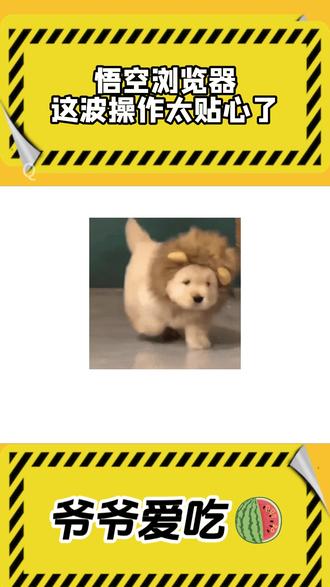 悟空浏览器这波太贴心了 #悟空浏览器