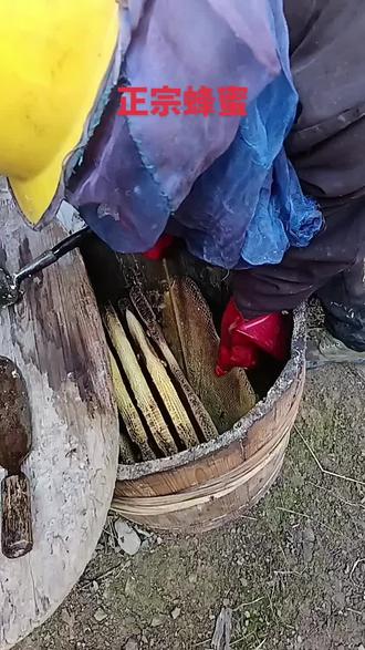 纯天然野生蜂蜜 ,有需要的滴滴……#纯天然绿色食品