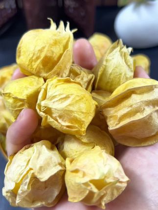 吃一次就会爱上的#姑娘果灯笼果