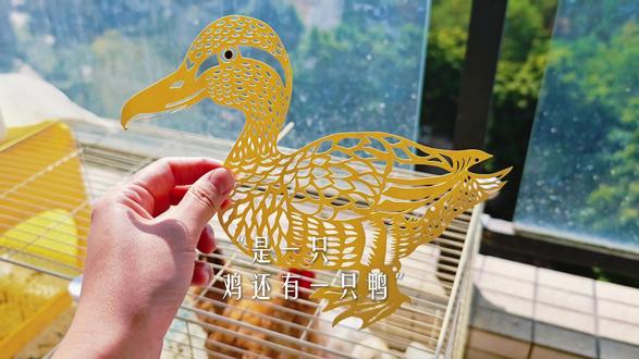 我的宠物是一只鸡还有一只鸭,我用手工,承载对小鸡和小鸭的情感。#情感手工 #非物质文化遗产剪纸#我的宠物是一只鸡#记录生活里的爱