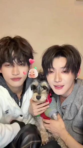 12.10晚最新啵啵,乘乘的#四面佛