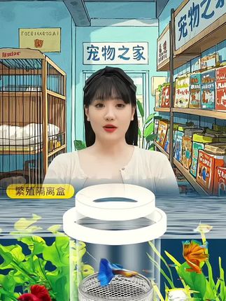 今天给大家送孔雀鱼繁殖用的隔离盒了,以后再也不用担心小鱼被吃了。#宠物用品 #水族 #萌宠好物 #水族用品 #养鱼经验分享