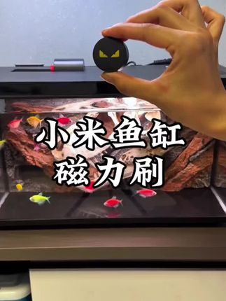 小米专用的小恶魔磁力刷,双面清洁,不仅能清洁鱼缸绿藻褐藻,还能清洁鱼缸上水垢!#磁力刷 #鱼缸磁力刷 #小米鱼缸 #小米鱼缸改造 #养鱼日记