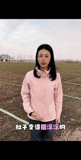 三农科普|小麦宝宝的破土小冒险
#三农 #新农人计划 #农业知识 #小麦田