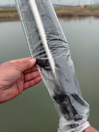 一体便携式折叠抄网,携带方便可以装进渔具包,不锈钢材质结实耐用不生锈#钓鱼 #渔具用品 #抄网 #折叠抄网 #户外钓鱼