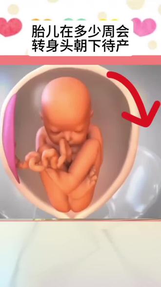 胎儿在多少周会转身头朝下待产?#瓜子二手车 #科普