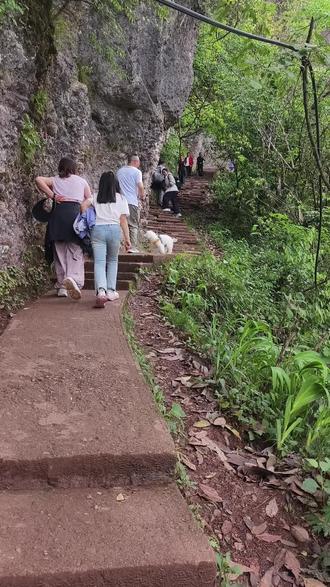 5.3号青城后山。建议计划耍前山的一定要提前一天网上预约买票,现场大上午票就卖完了。经历超级堵车后转战后山,进去第一个坡就想放弃了,牙一咬登顶了。#青城山后山