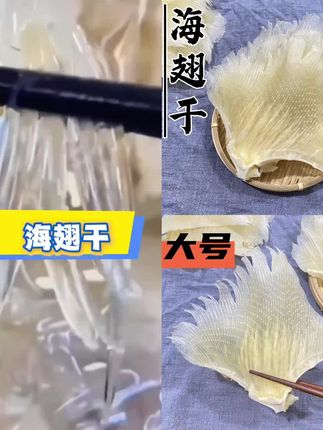 海翅干 软骨翅肉翅骨 鳐鱼干 肉质新鲜 广东阳江特产干货250g包邮#海味干货#上等鱼翅#爆款热卖中#厂家直发#超便宜超划算
