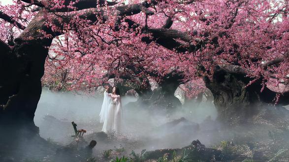 邓紫棋的一首《桃花诺》,不仅是经典影视OST,更是传承纽带 #音乐 #邓紫棋 #桃花诺 #精选