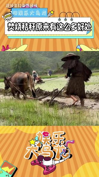 兜兜转转还是得相信老祖宗的智慧 #冷知识 #离谱 #农民 #秸秆焚烧 #万万没想到