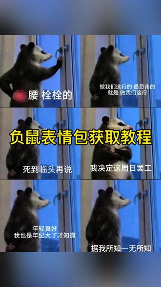 你们要的负鼠表情包保存教程来了,负鼠表情包微信保存教程,用负鼠表情包打开雨铃霖 #负鼠表情包 #负鼠 #小老鼠表情包 #用负鼠表情包打开雨霖铃