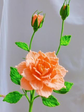 原创花花10号课程100节课,视频所有的花花都在10号课程里面,视频教程