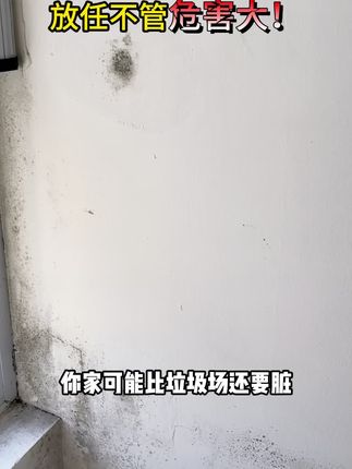 有了它再也不用请保洁了! 全屋除霉就选它,深层除霉长效防霉#晶杰除霉剂 #去霉小妙招 #除霉喷雾 #墙壁发霉 #洗衣机胶圈发霉