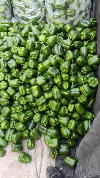 听说大雪不来了,这这这这咋弄啊。