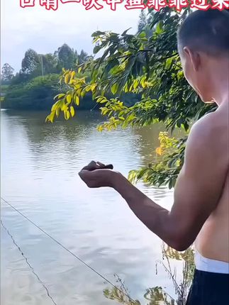 以后抓甲鱼再也不用花钱买了,用这个甲鱼专用口哨, 可摇出声,还可以吹多种声调,吸引甲鱼浮出水面,不管是水库、鱼塘、小河小溪都可以使用。#甲鱼#甲鱼口哨