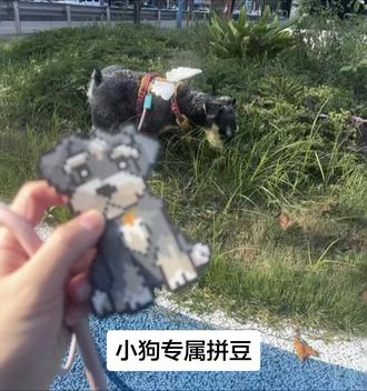 用我的小狗拼豆换你的创意拼豆🙋♀️ #卡通狗狗 #雪纳瑞 #可爱小狗 #拼豆 #晒出我的拼豆作品