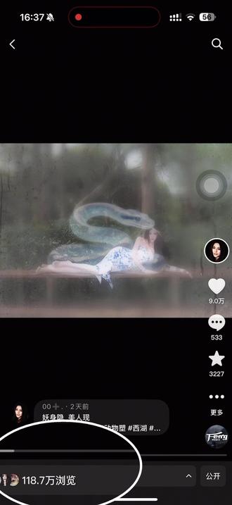 动物塑教程附上
#动物塑#蛇塑#拍照 #教程