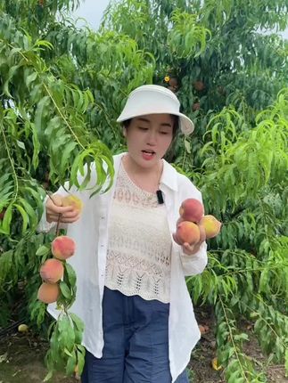 老家的桃子熟了#我的乡村生活 #新鲜采摘 #优质农产品 #桃子熟了