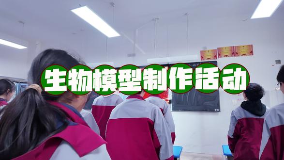 生物细胞模型。#手工制作 #生物课实践