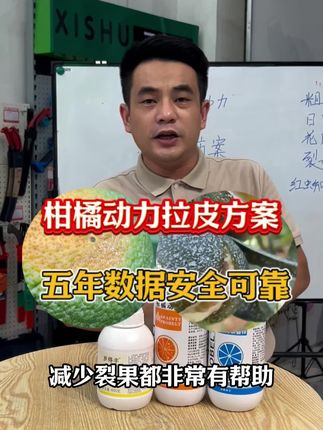 更安全更靠谱的拉皮方案!一棵树只要三毛!你用过吗?#果树#柑橘#柑橘种植 #果树管理 #果树种植