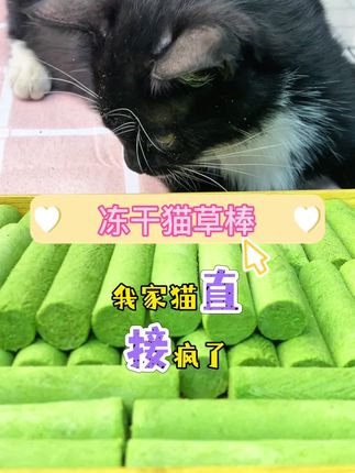 成功选择了一款适合猫咪的排毛零食#养猫新手 #养猫人 #排毛球#挑食的猫咪