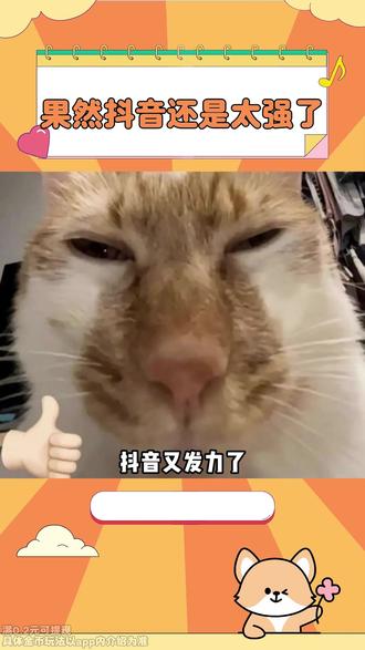 这抖音还是太强了 #悟空浏览器