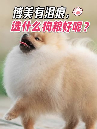 博美有泪痕选什么狗粮好#博美 #狗粮推荐 #狗狗