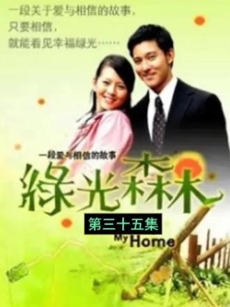 故事发生在如童话般美好的绿光森林里。美丽善良的女孩苏菲(刘品言饰)是音乐世家中的独生女,一直幸福快乐的生活。一次车祸中苏家司机不幸丧生,苏家夫妇收养了他的女儿罗珊(宋智爱饰),并为她改名为苏珊,视如己出。苏姗自卑又好强,不仅一直妒忌着苏菲生来所拥有的一切,更是对与苏菲两小无猜的靳欧文(阮经天饰)也萌生爱恋。在史宾赛皇家音乐学院,苏菲遇见了王子威廉史宾赛(立威廉饰)。 长大后,苏菲成为绿光小学的老师,苏珊成为史宾赛音乐学院的艺术总监,威廉回国继承父亲的音乐学院史宾赛,欧文学成归来成为名满世界的小提琴家。然而史宾赛学院要关掉绿光小学,对绿光小学有深厚感情的苏菲,为了守护绿光而奋斗…… …