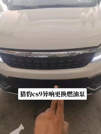 猎豹更换燃油泵#汽车保养与维修 #专业的事交给专业的人