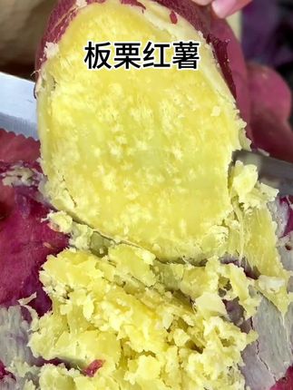 陕西#板栗红薯 紫红薯淡黄瓤 吃起来软糯香甜 无 丝无筋 皮薄如纸#优质农产品 #软糯香甜 #口感特别好 #超便宜超划算