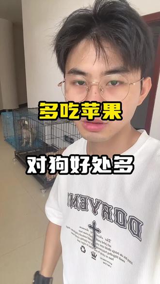 苹果的功效与作用好处 oAe7HkUnbABrDunvA1fY1aQgj89kA72wWNDIAI~tplv-dy-resize-origshort-autoq-75:330.jpeg?x-expires=2014430400&x-signature=4U2zx4w7oDSXqd5zZYwJUT1v19c%3D&from=3213915784&s=PackSourceEnum_AWEME_DETAIL&se=false&sc=cover&biz_tag=pcweb_cover&l=2023110412464652D941F9512040BA2834