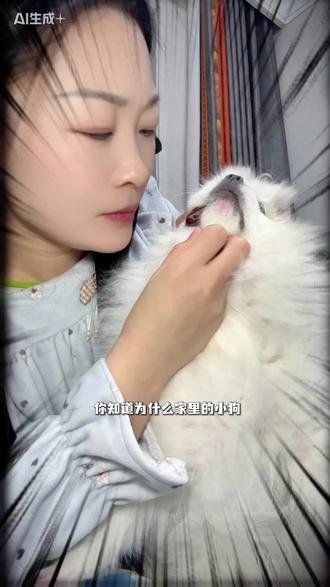 麦富迪新品乐活冻干狗粮,一口狗粮一口冻干干饭真香!#麦富迪 #狗粮推荐 #麦富迪乐活冻干狗粮 #玻璃胃狗粮