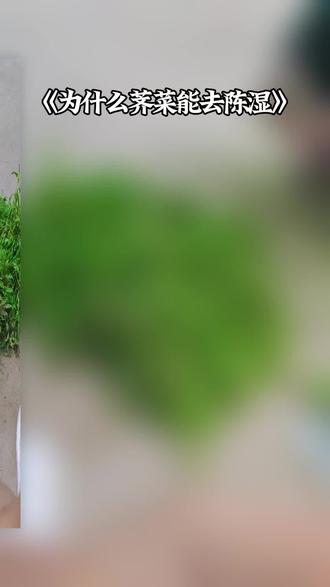 为什么荠菜能除湿#野菜美食 #有趣的知识又增长了 #一般人不告诉他