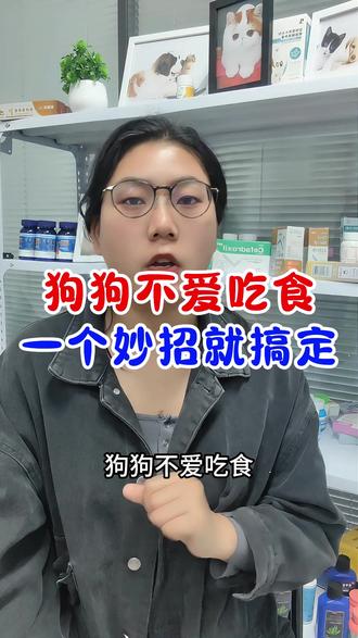 狗狗不爱吃食 一个妙招就搞定#养狗人 #养狗知识 #新手养狗