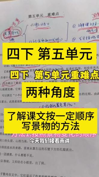 四下 第5单元 两种角度把握单元重点