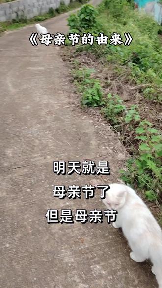 母亲节的由来!祝天下所有母亲节快乐!永远幸福!
