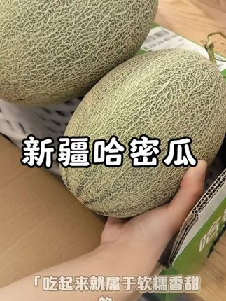 线上也可以买到又脆又甜又多汁#新疆哈密瓜 现采摘的新疆哈密瓜啦🍈#新疆美食 #脆甜多汁 #现采摘现发货 快来试试吧
