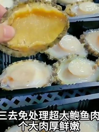 #dou上热门 【鲜活现剥】大号5-6厘米去壳去内脏鲍鱼纯肉 拍20只➕20只 到手40只