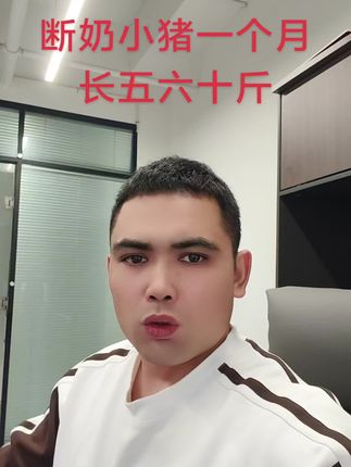 断奶小猪一个月长五六十斤肽子肽宝#肽子肽宝#大农盟#猪价分析#猪价走势#三农流量