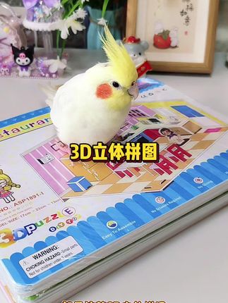 跟小鸟一起参观好朋友的新家吧~场景丰富,动手动脑自己拼装,拼完还能玩过家家#儿童玩具 #我的玩具分享 #手工diy #拼图 #益智玩具