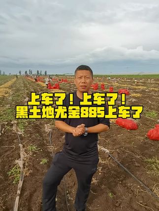 #东北#新农人计划 #土豆