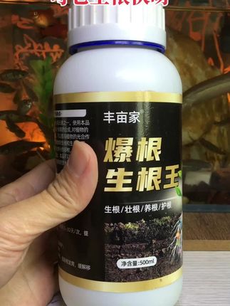 爆根生根液移栽扦插生根水营养液植物促根通用强力多肉壮苗生根剂 #生根液 #扦插育苗 #生根壮苗 #无限回购的宝藏单品 #花卉养护