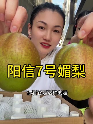 正宗山东阳信7号媚梨 清甜多汁 果肉细腻无渣 #新鲜采摘 #应季水果 #媚梨 #媚梨七号 #强烈推荐 @潮州妹
