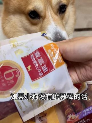 给小狗一根里外三层的夹心磨牙棒,既能磨牙解馋还能让它开心一整天! #柯基 #萌宠#狗狗零食#狗狗磨牙棒 #家有馋狗