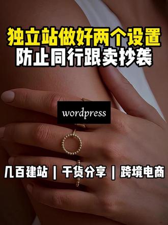 独立站做好两个设置,防止同行跟卖抄袭! #跨境电商#独立站#独立站搭建#wordpress#外贸独立站