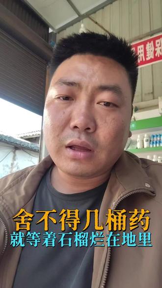 预防跳斑是关键 病虫害预防为主#会理诺泰尔 #会理 #石榴 #彰冠镇 #会理石榴