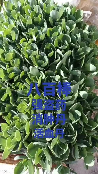 #三农#农村生活#抖音一万粉丝要多久 #为家乡农产品代言 #我的观影报告 @燕子
