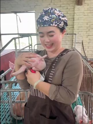 联创过奶母猪畜牧用的添加剂