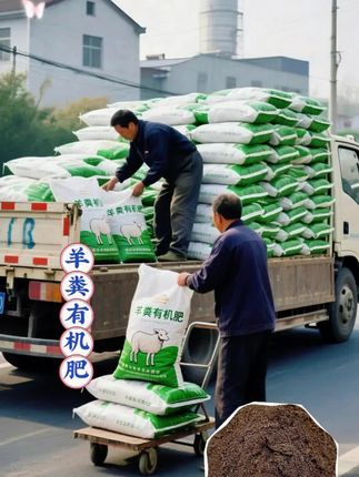 羊粪有机肥 土地缺活力、作物长不旺?“黑金”羊粪发酵有机肥来帮忙,藏着唤醒土地的能量! 180天高温发酵,虫卵病菌全无,零烧苗风险,只有淡淡泥土香,环保安心。富含腐殖质、有机质和微量元素,肥力温和,养根壮苗,作物长得旺! 它还是土壤改良专家,能改善板结、泛碱土壤,让土地松软肥沃,还能增强作物抗寒、抗旱、抗病能力。 菜园果蔬、草坪、盆栽、花卉都适用。颗粒细腻,拌土、追肥、做底肥都方便;防潮密封锁肥力,干净不扬尘,省心! 带它回家,让土地焕活,收获绿意与硕果! #羊粪 #颗粒有机肥 #羊粪发酵有机肥 #复合肥种菜专用 #有机羊粪肥