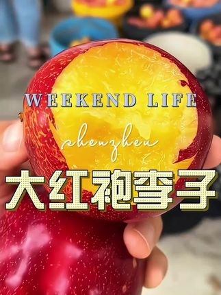 #大红袍李子 #大红袍李子现摘现发新鲜到家 #大红袍李子现摘现发新鲜到家